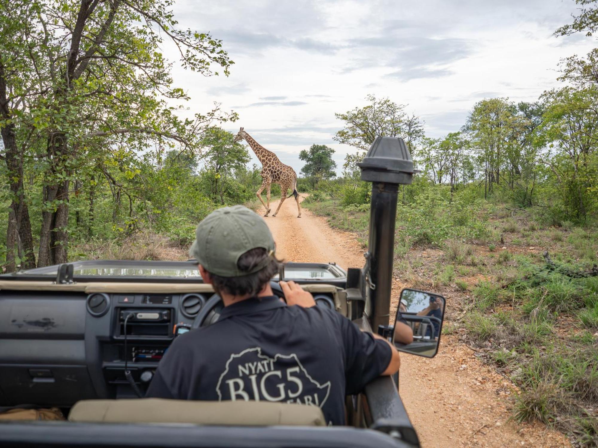 Nyati Safari Lodge Ходспруит Екстериор снимка
