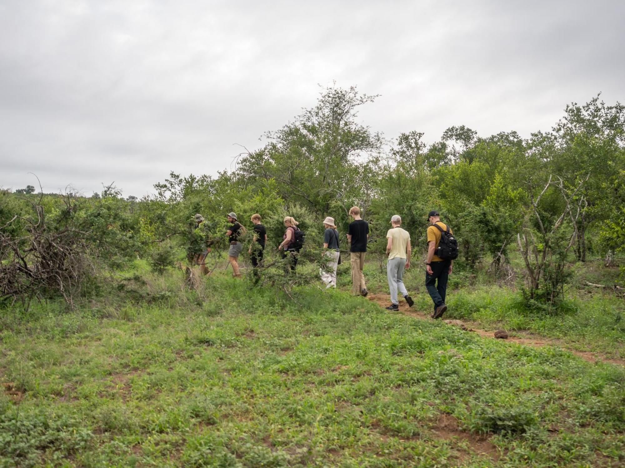 Nyati Safari Lodge Ходспруит Екстериор снимка